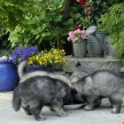 L31t_3412-(178)_bearb.jpg