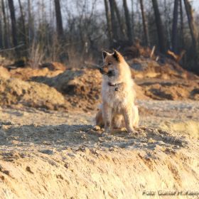 2025-02-16-Tiffany-Haddorf.jpg