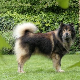 2024-04-28-Aslan-(11)_bearb.jpg