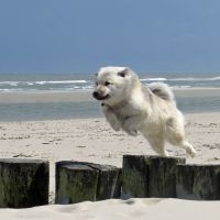 2023-06-27-Wooge-(251)_Hele.jpg