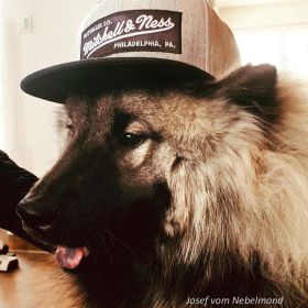 Josef ist cool