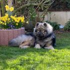 Jurij im Garten